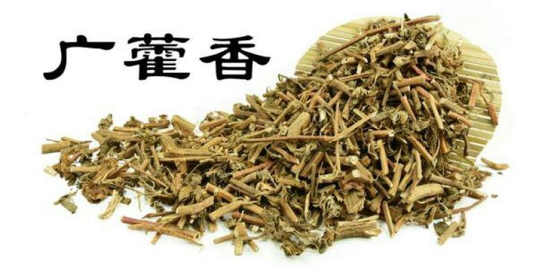 广藿香，常年批发供应藿香，中药材