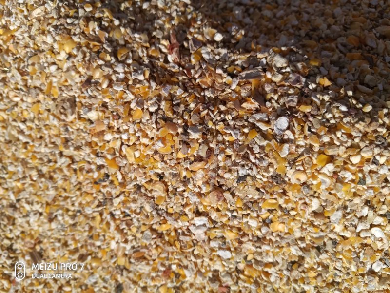 碎玉米大量碎玉米各种规格都有，有效降低饲养成需要的请联系