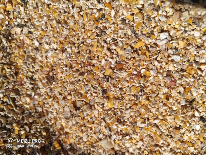 碎玉米大量碎玉米各种规格都有，有效降低饲养成需要的请联系