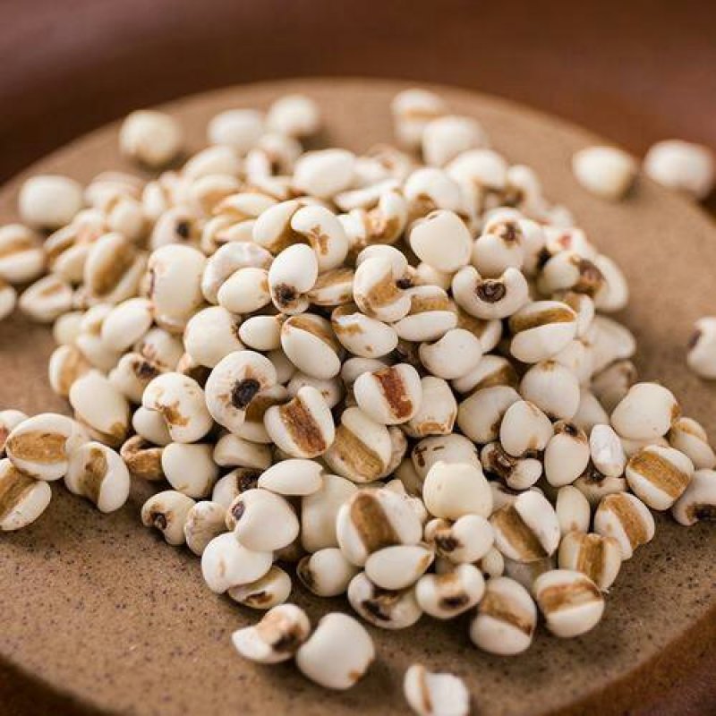薏米仁，常年批发供应药食同源薏米仁