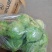 供应一斤以上精致大棚甘蓝