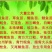 鲤鱼苗批发零售技术支持成活率高，品相好，