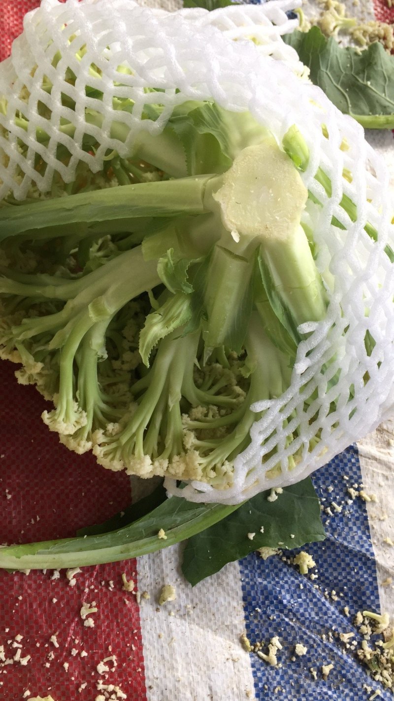 优质松花菜，实花菜，产地直发，提供各种包装！
