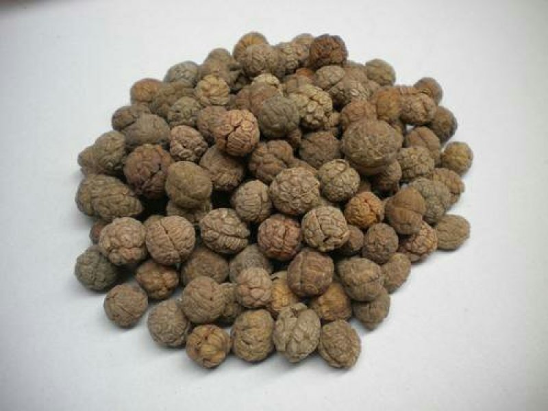 草豆蔻，常年批发供应，药食两用海南大草寇