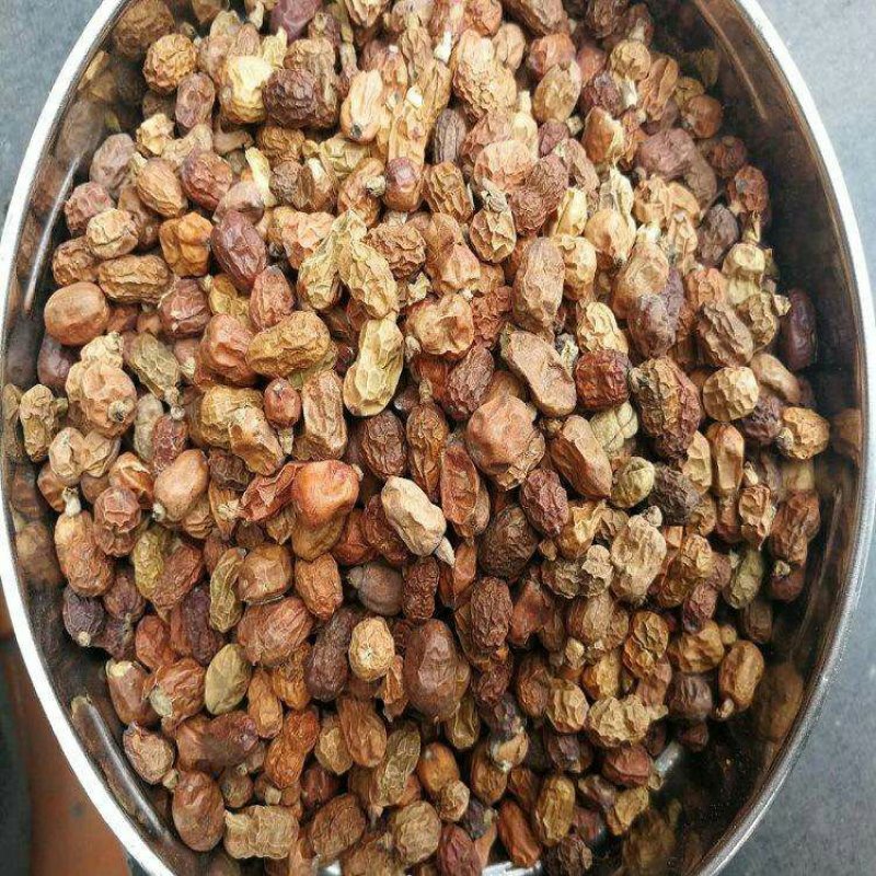 红豆蔻，常年批发供应红豆蔻