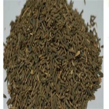 驱虫斑鸠菊，常年批发供应冷背中药材，驱虫斑鸠菊