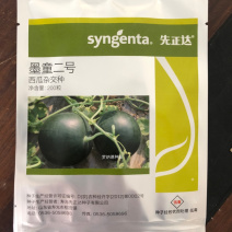 超甜西瓜种先正达无子籽西瓜种子墨童二号基地采摘