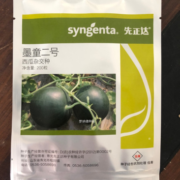 超甜西瓜种先正达无子籽西瓜种子墨童二号基地采摘