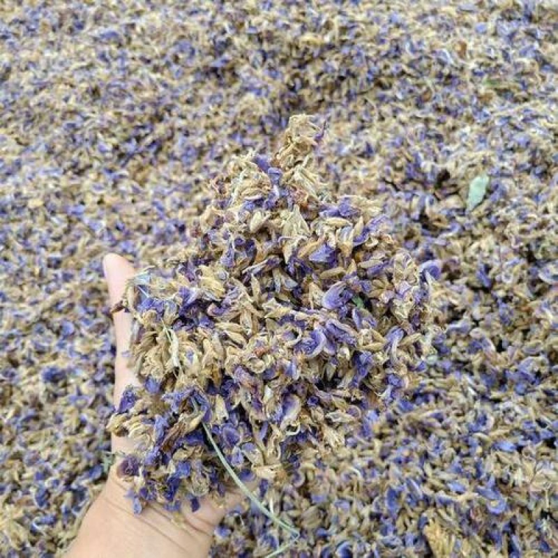 葛花，常年批发供应野生，葛花解酒补肾，护肝花