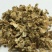 白扁豆花，常年批发供应扁豆花