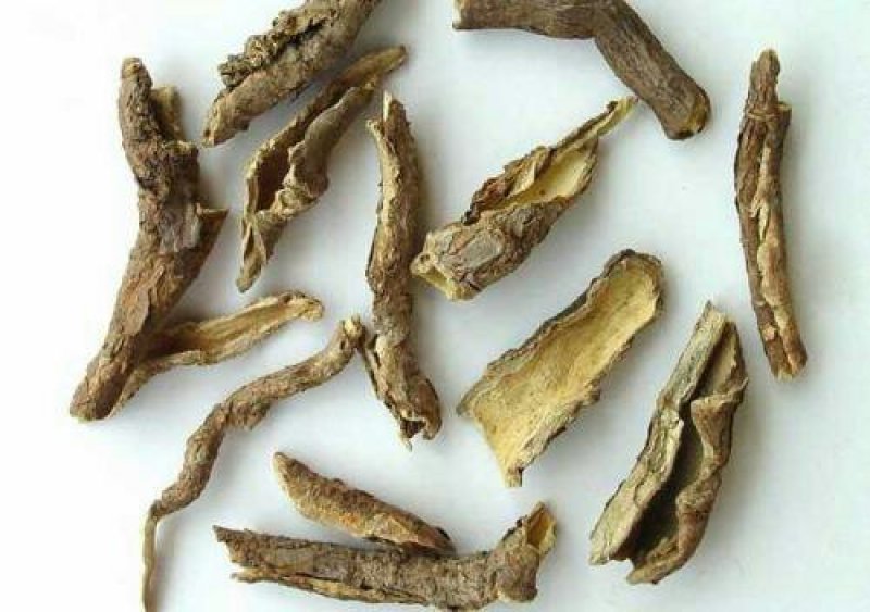 香加皮，常年批发供应香加皮中药材