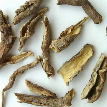香加皮，常年批发供应香加皮中药材