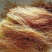 玉米须，常年批发供应玉米须药食同源