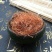 玉米须，常年批发供应玉米须药食同源