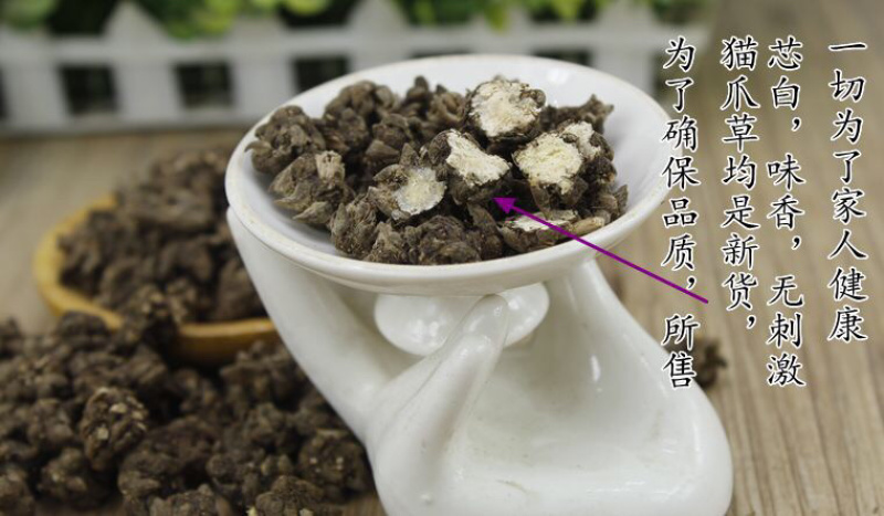 野生猫爪草