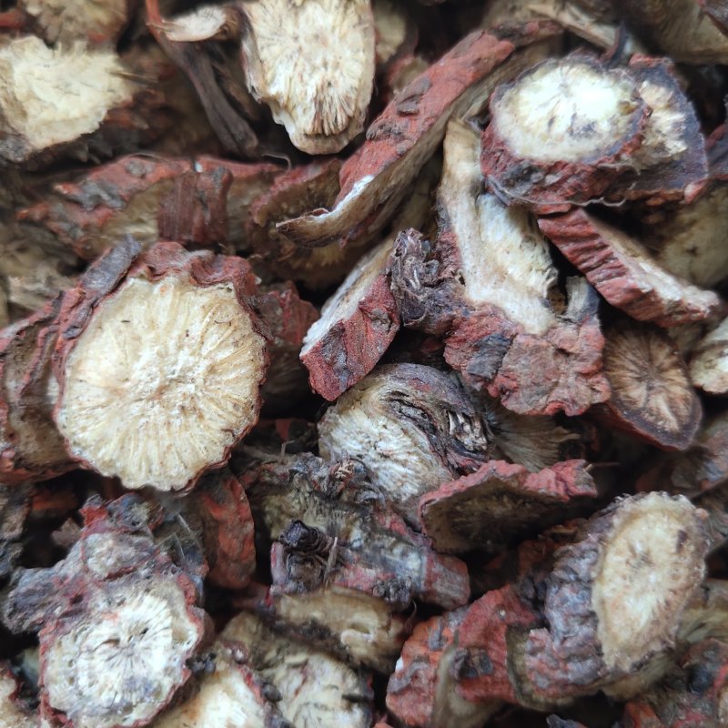 丹参山丹参茶片2.0以上紫丹参茶片关书药业
