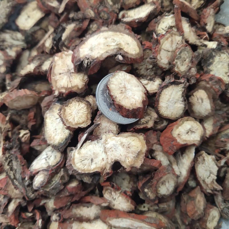 丹参山丹参茶片2.0以上紫丹参茶片关书药业