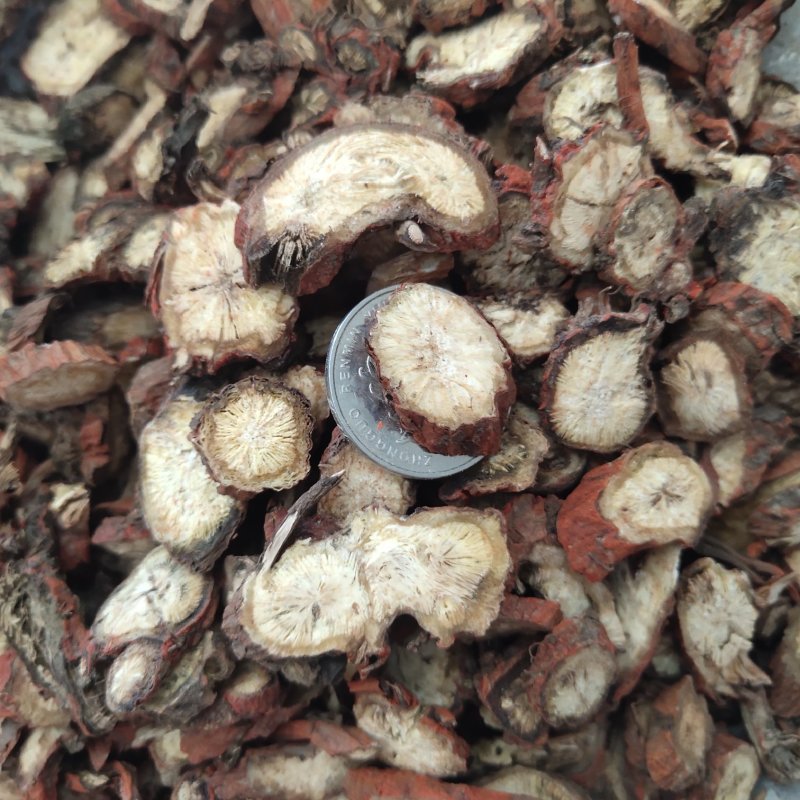 丹参山丹参茶片2.0以上紫丹参茶片关书药业