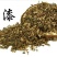 泽漆，常年批发供应野生泽漆中草药