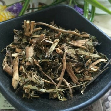 泽漆，常年批发供应野生泽漆中草药