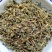 泽漆，常年批发供应野生泽漆中草药
