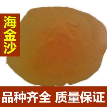 海金沙，常年批发供应海金沙，江西货正品