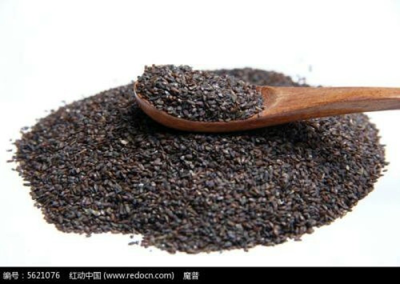 车前子，常年批发供应车前子，中药材