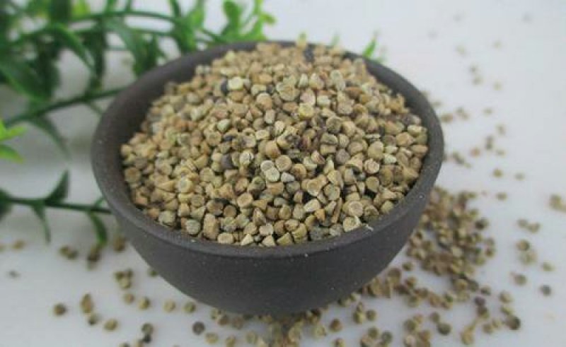 冬葵果，常年批发供应冬葵果，中药材