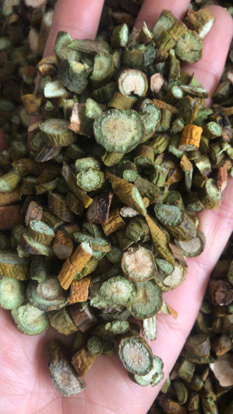 桑寄生，规格多，品种全欢迎咨询