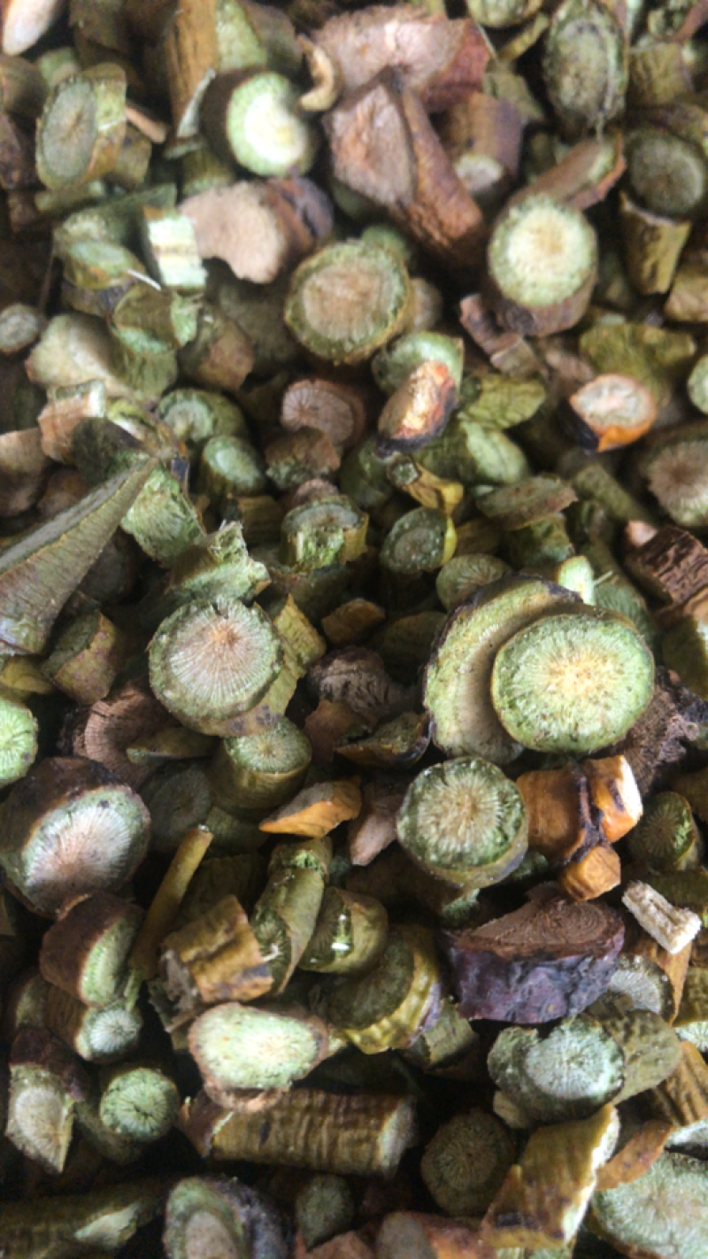 桑寄生，规格多，品种全欢迎咨询