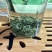 [标题]碧螺春新茶，明前芽茶，特级精选，一斤两罐装包邮