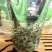 [标题]碧螺春新茶，明前芽茶，特级精选，一斤两罐装包邮