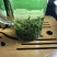 [标题]碧螺春新茶，明前芽茶，特级精选，一斤两罐装包邮