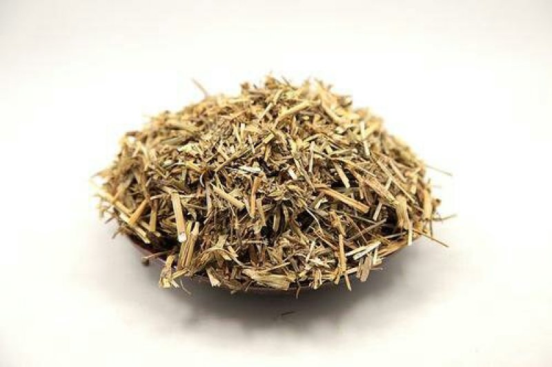 瞿麦，常年批发供应中草药瞿麦