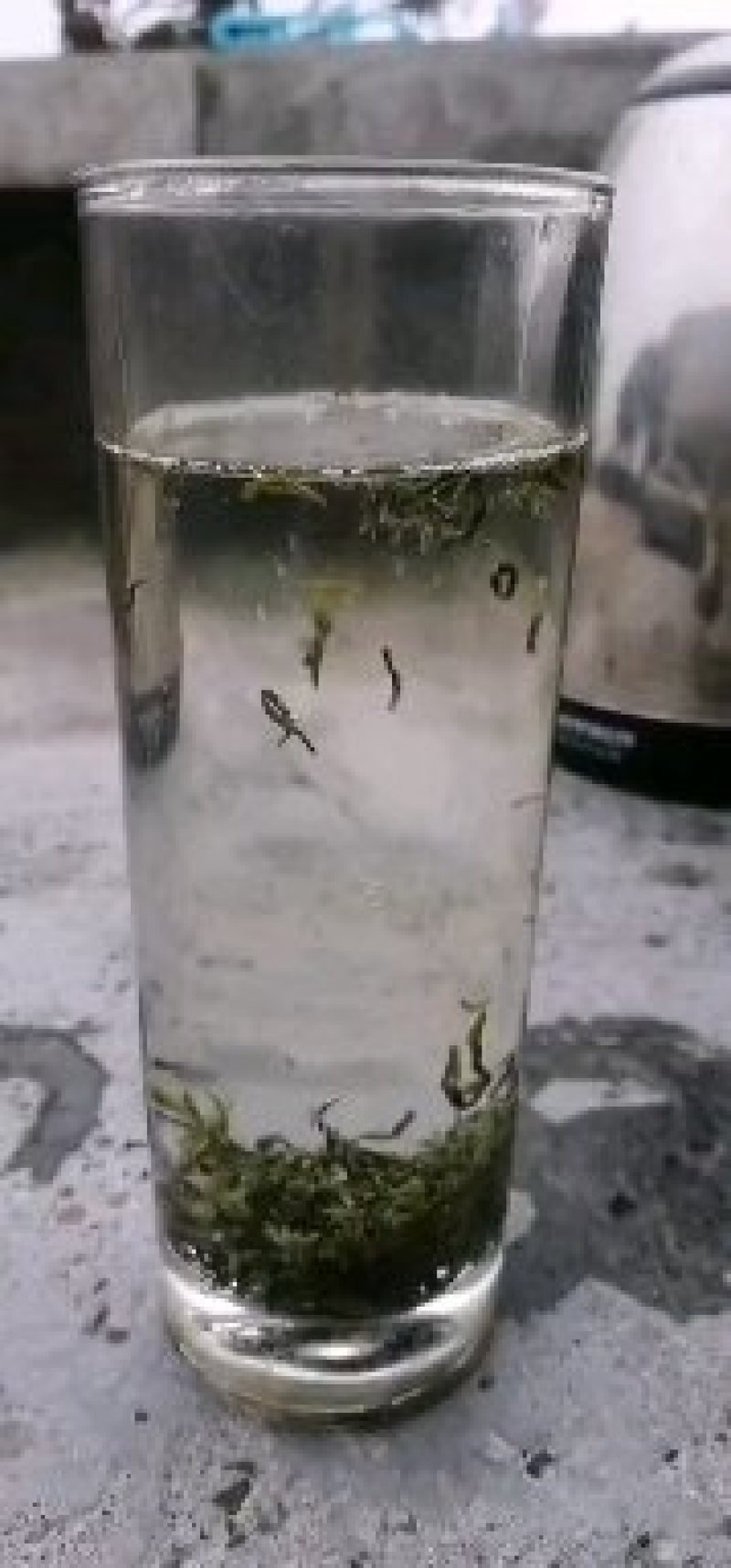 碧螺春