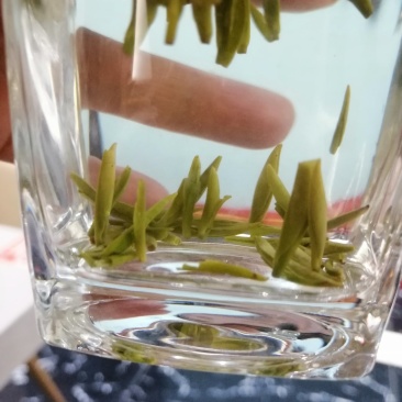 竹叶青茶