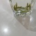 竹叶青茶