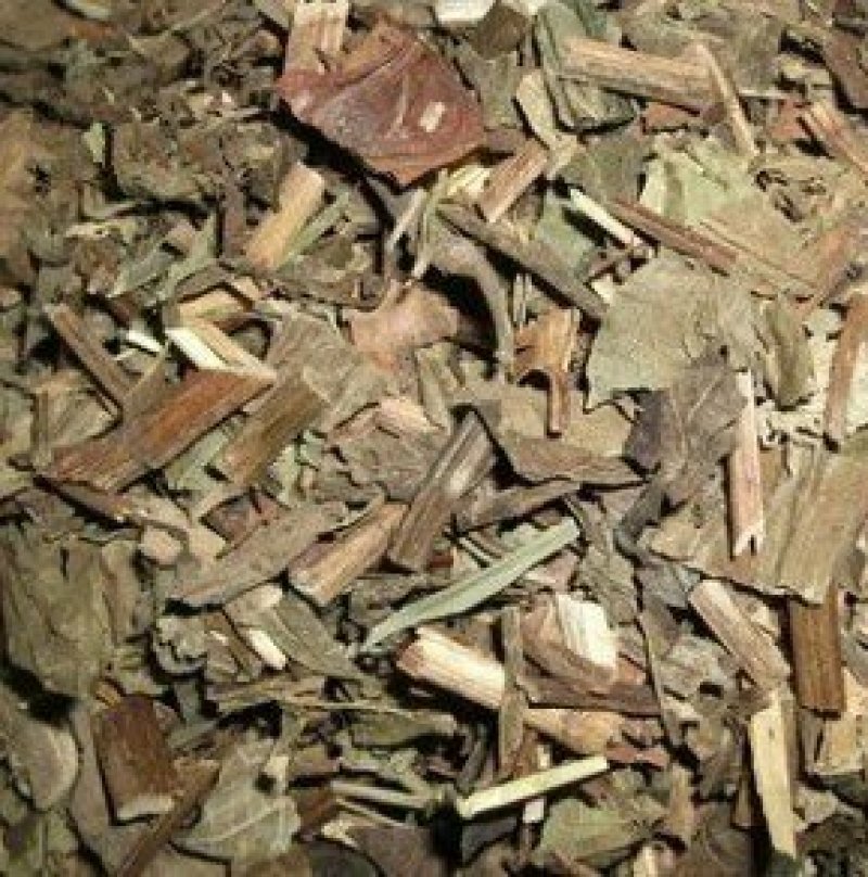 三白草，常年批发供应三白草中药材