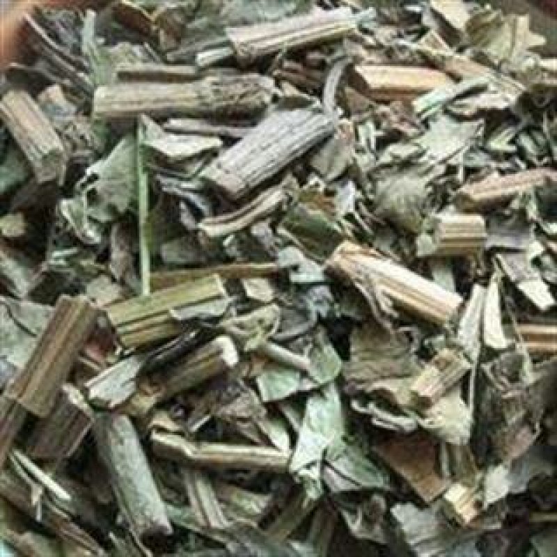 三白草，常年批发供应三白草中药材