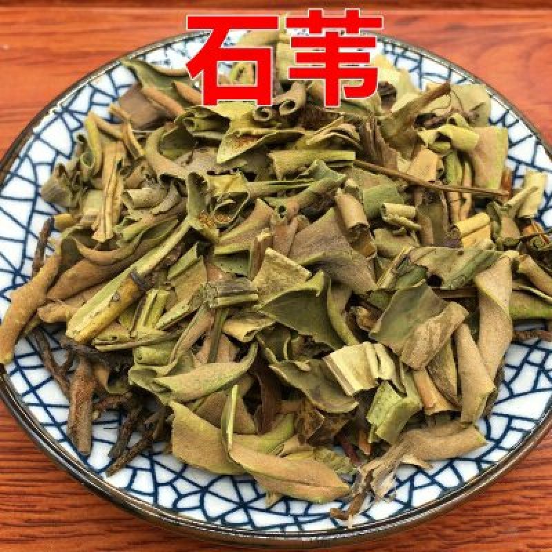 石韦，常年批发供应野生石韦，中草药