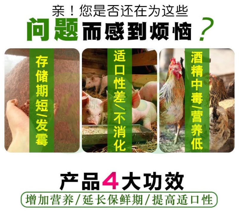 酒糟酒糟酒糟专用发酵剂