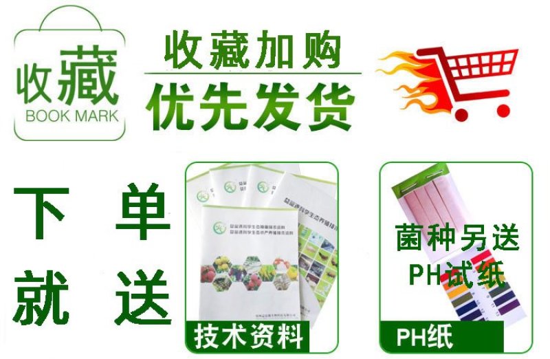 酒糟酒糟酒糟专用发酵剂