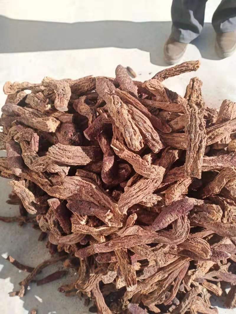 锁阳甘肃内蒙冬季锁阳片可视频看货