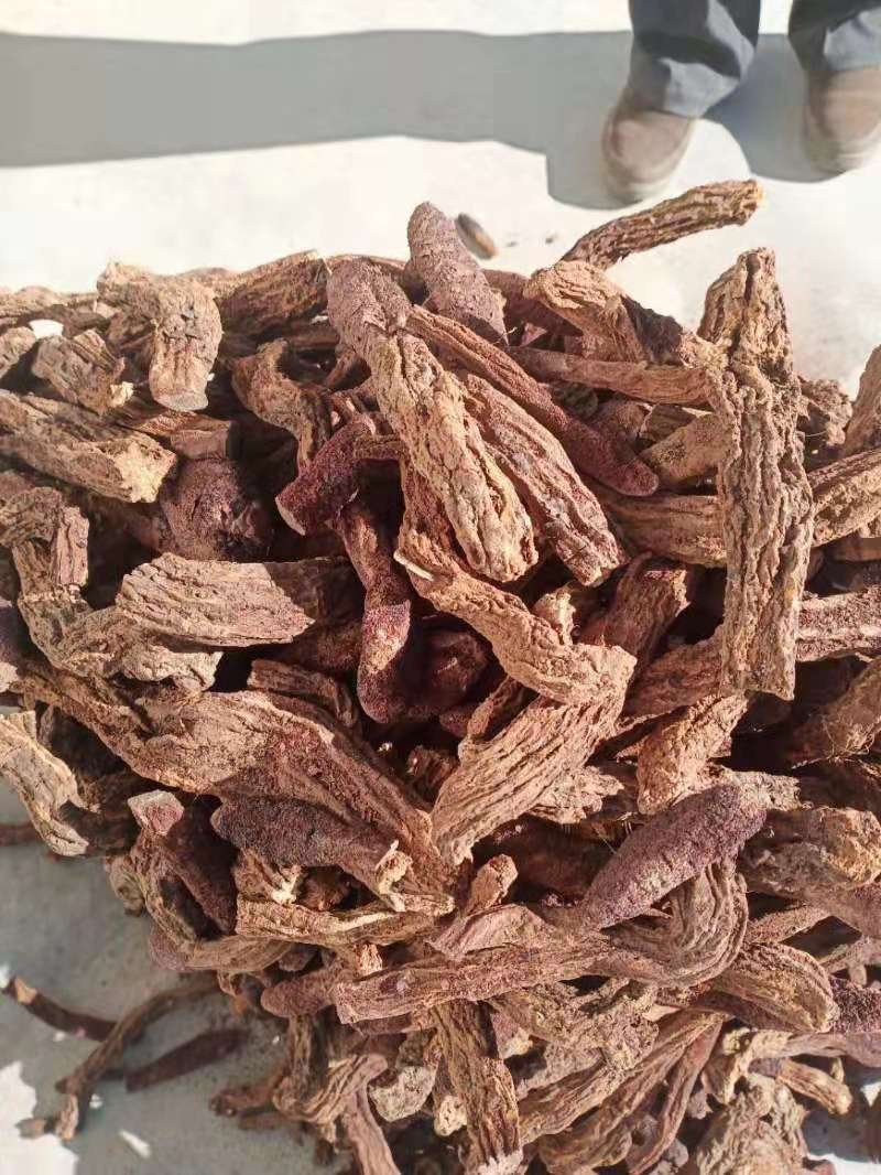 锁阳甘肃内蒙冬季锁阳片可视频看货