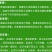 庭院绿篱植物造型树小叶黄杨球瓜子黄杨球盆景四季长青冬青