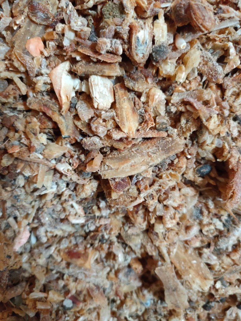 饲料鱼干高温水煮晒干鱼干喂螃蟹大虾很好蛋鸡蛋鸭母猪都可以