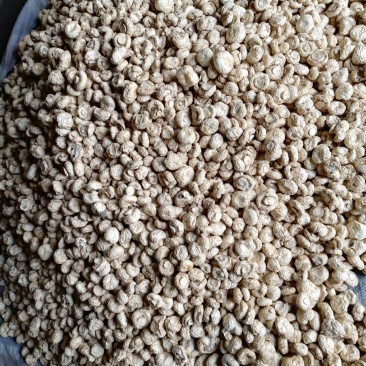 口蘑干整菇无开伞一级