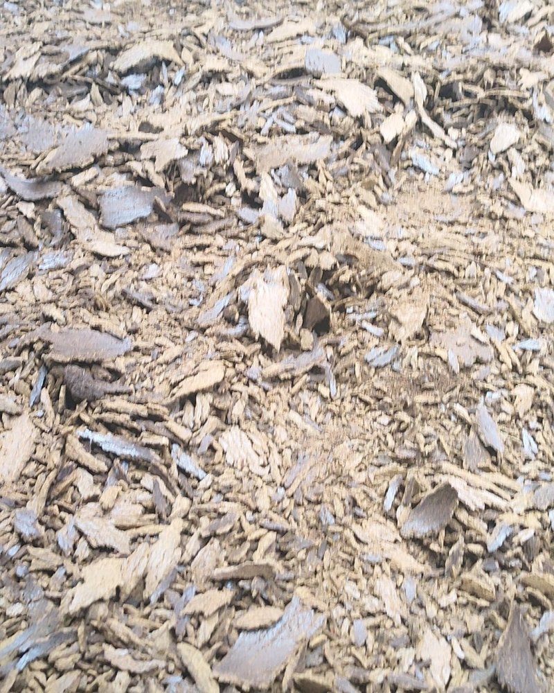 自家榨油的菜枯