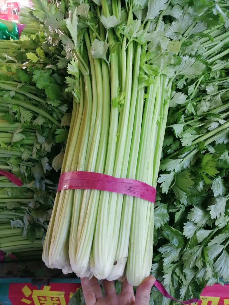 西芹，芹菜，香芹，细，中，粗，颜色黄绿，