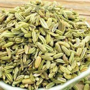 小茴香，常年批发供应小茴香